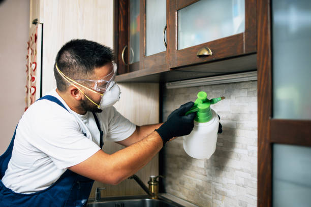 Best Bed Bug Extermination  in Burbank, IL