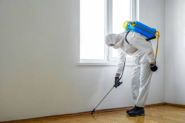 Best Best Pest Control Companies  in Burbank, IL