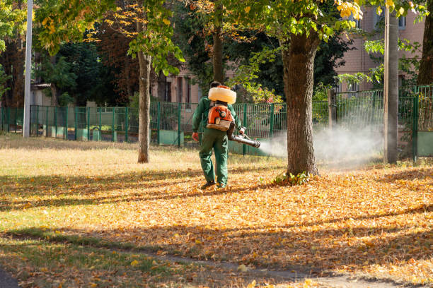 Best Affordable Pest Control Services  in Burbank, IL