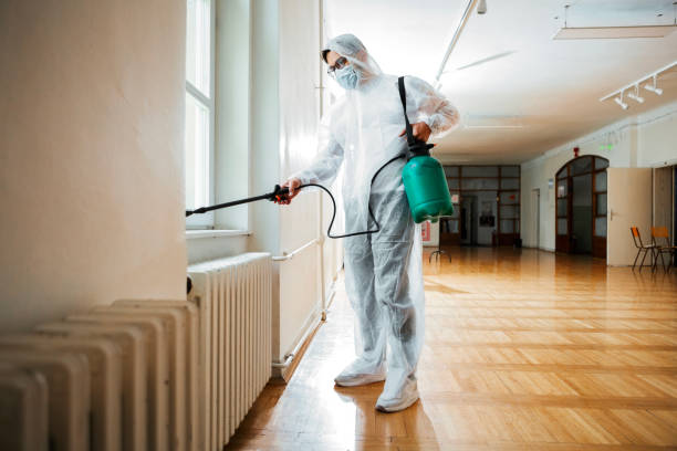 Best Ant Control Services  in Burbank, IL
