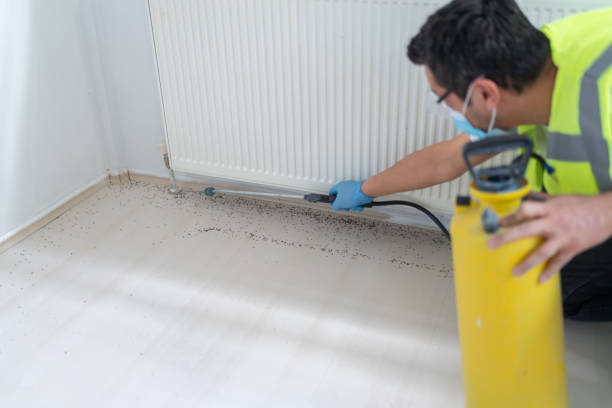 Best Commercial Pest Control Services  in Burbank, IL