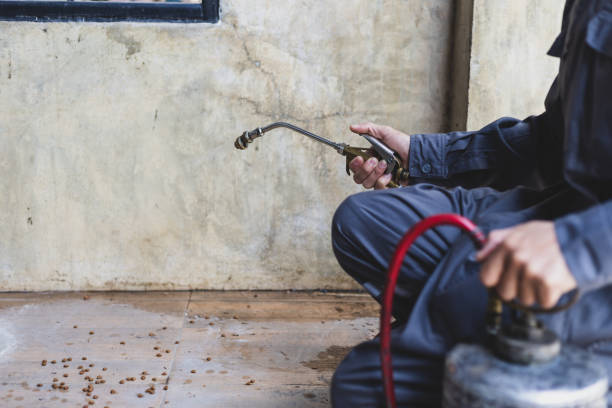 Best Pest Removal Services  in Burbank, IL